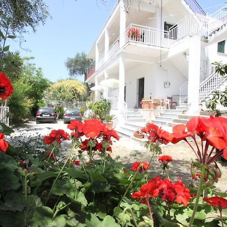 Angeliki Studio And Apartment Gaios Dış mekan fotoğraf