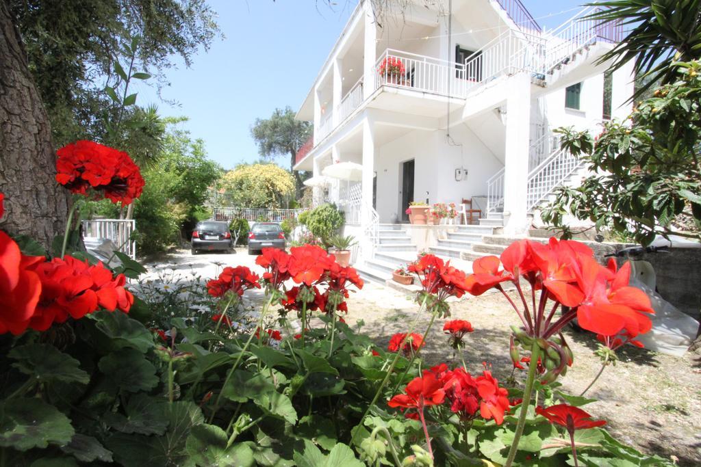 Angeliki Studio And Apartment Gaios Dış mekan fotoğraf