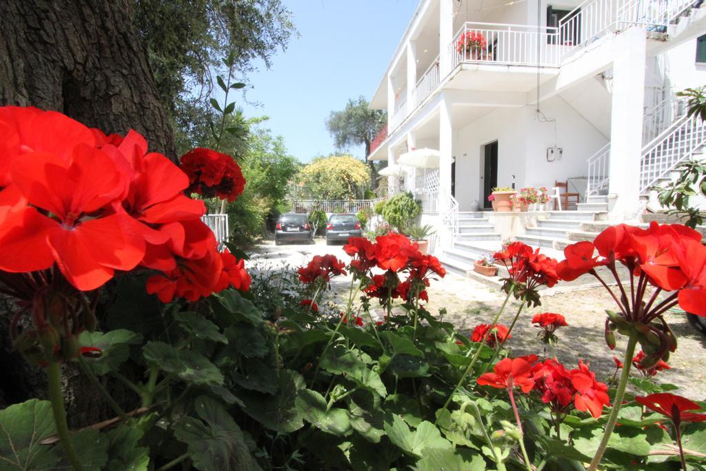 Angeliki Studio And Apartment Gaios Dış mekan fotoğraf